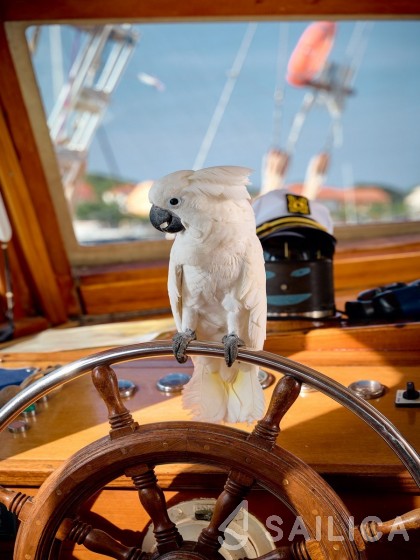 Gulet - Yacht Charter Sailica