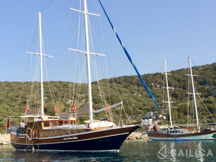 Gulet - Yacht Charter Sailica