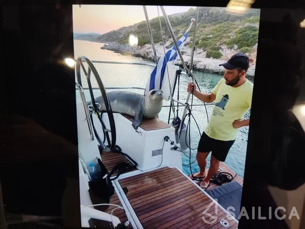 Sun Odyssey 440 - Yacht Charter Sailica