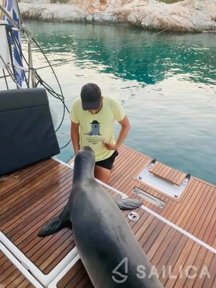 Sun Odyssey 440 - Yacht Charter Sailica