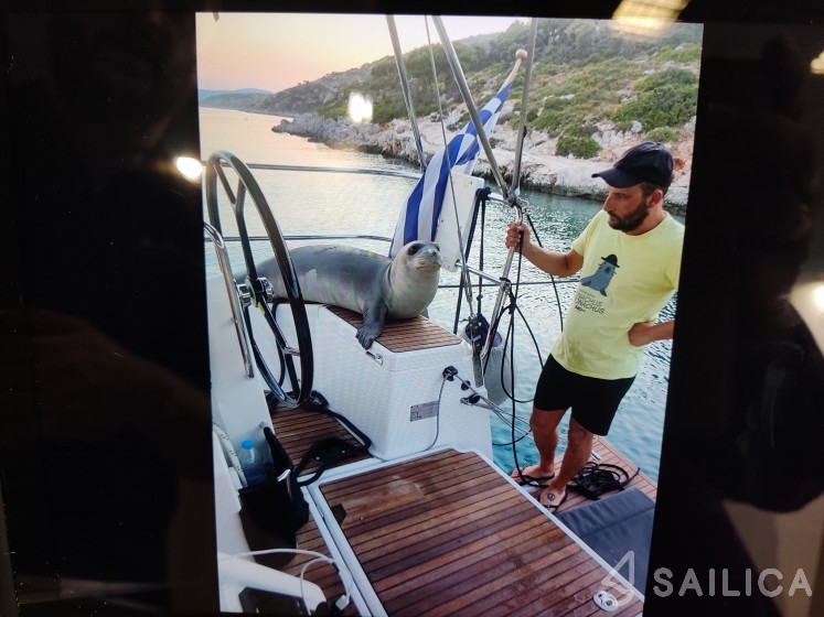 Sun Odyssey 440 - Yacht Charter Sailica