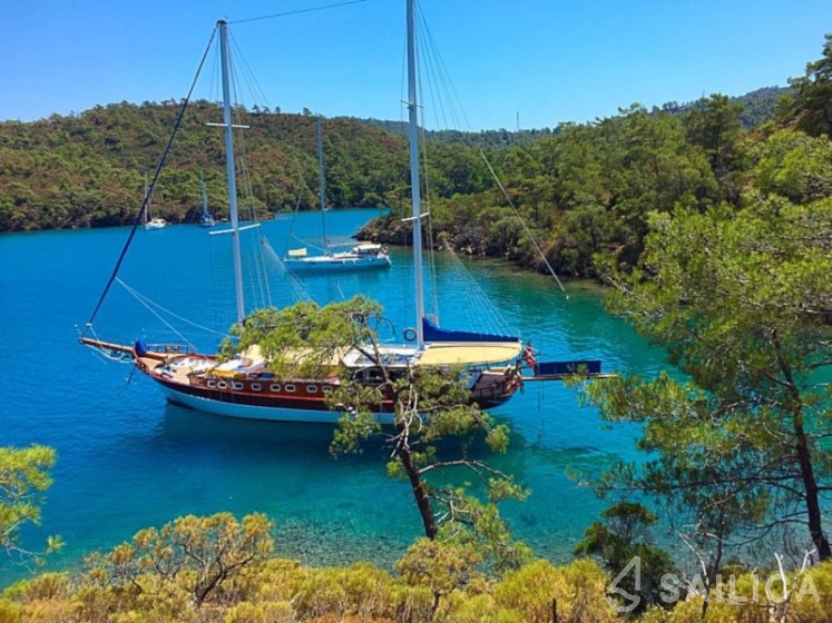 Gulet - Yacht Charter Sailica