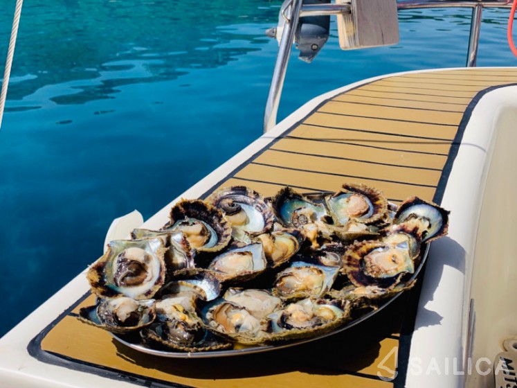 Bavaria 50 - Yacht Charter Sailica