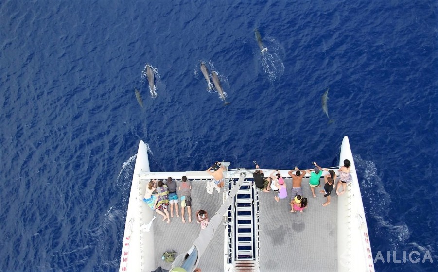 Ocean Voyager 53 - Yacht Charter Sailica
