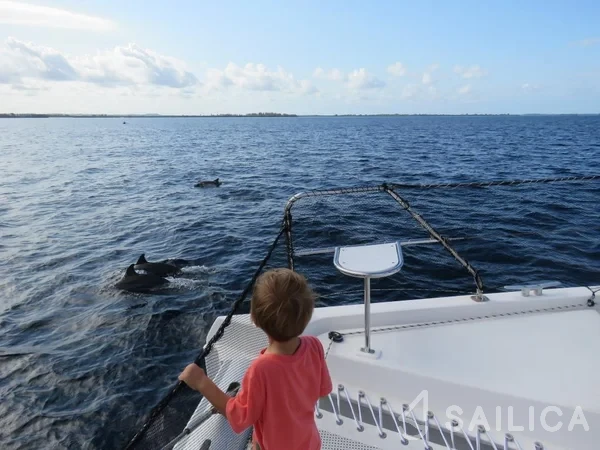 Leopard 48 - Yacht Charter Sailica