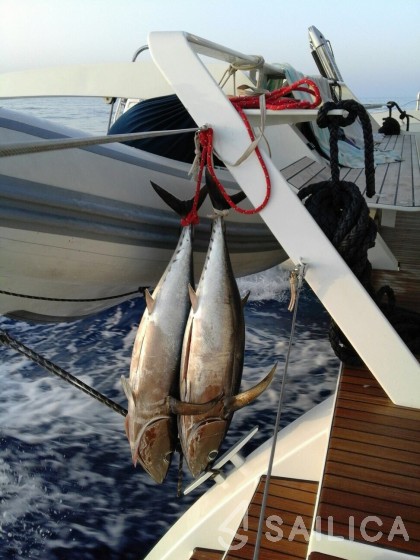 Lagoon 52F - Yacht Charter Sailica