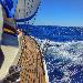 Grinda-yacht