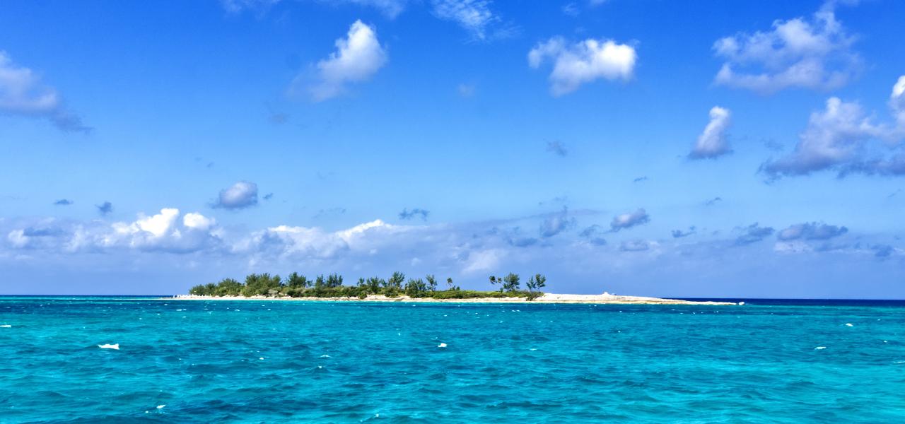 Top 6 Bahamian Islands to study the marine life